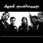 Dead Mushroom lyrics