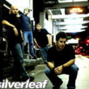 Silverleaf lyrics